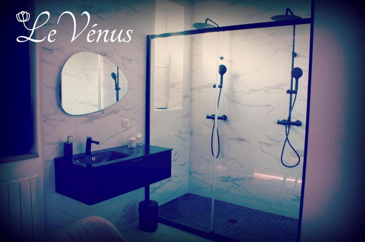 דיז'ון Le Venus - Appartement Spa Privatif Balneo Sauna מראה חיצוני תמונה
